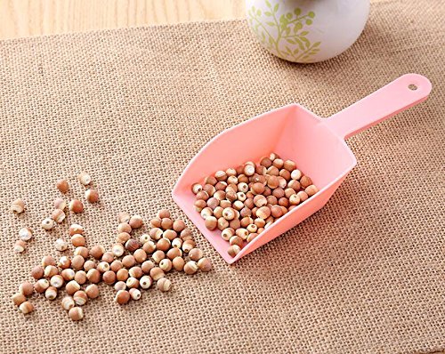 6PCS Farbe Zufällige PP Kunststoff Lebensmittel Schaufel Mehl Supermarkt Müsli Eis Nüsse Süßigkeiten Buffet Tierfutter Schaufeln Laden und Set Werkzeuge für Supermärkte Snack Shops Küche