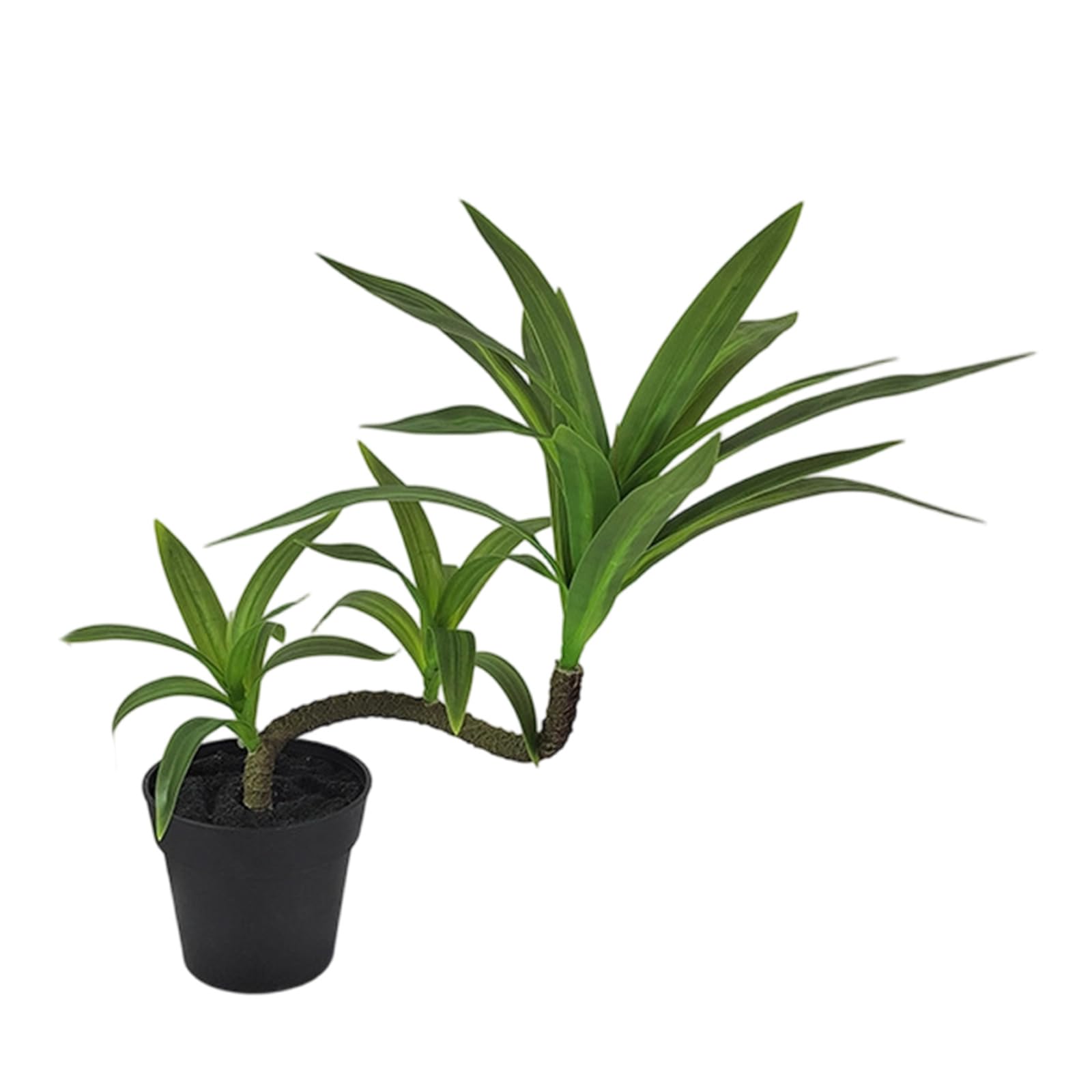 Zxfdsfdbnm Sturdy Artificial Lucky Dracaena Plant in Pots Realistic Potted Greeneries for Desk Tabletop Decoration Realistic Plant
