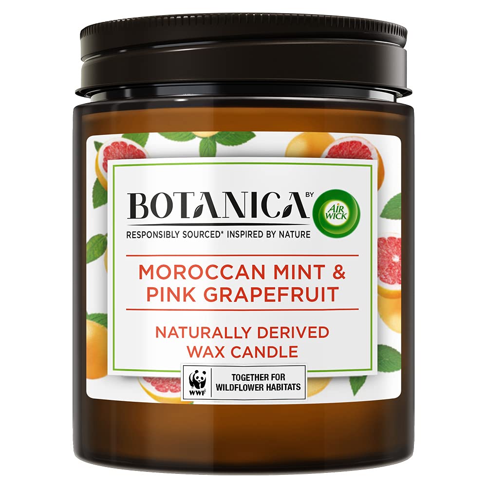 Botanica by AirWick Air Freshener Naturally Derived Wax Candle, MINT & PINK GRAPEFRUIT, Up to 40 Hours Burn Time