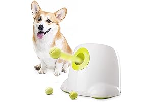 godoggo Automatic Dog Ball Launcher: Unleash Limitless Fetching Fun
