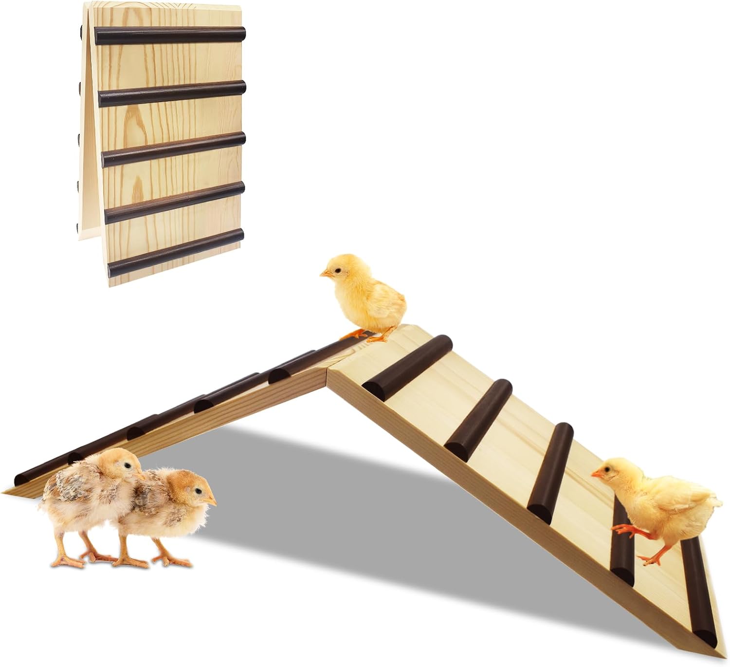 BSTSLL Chick Brooder Roost Wooden Foldable Chick Ramp