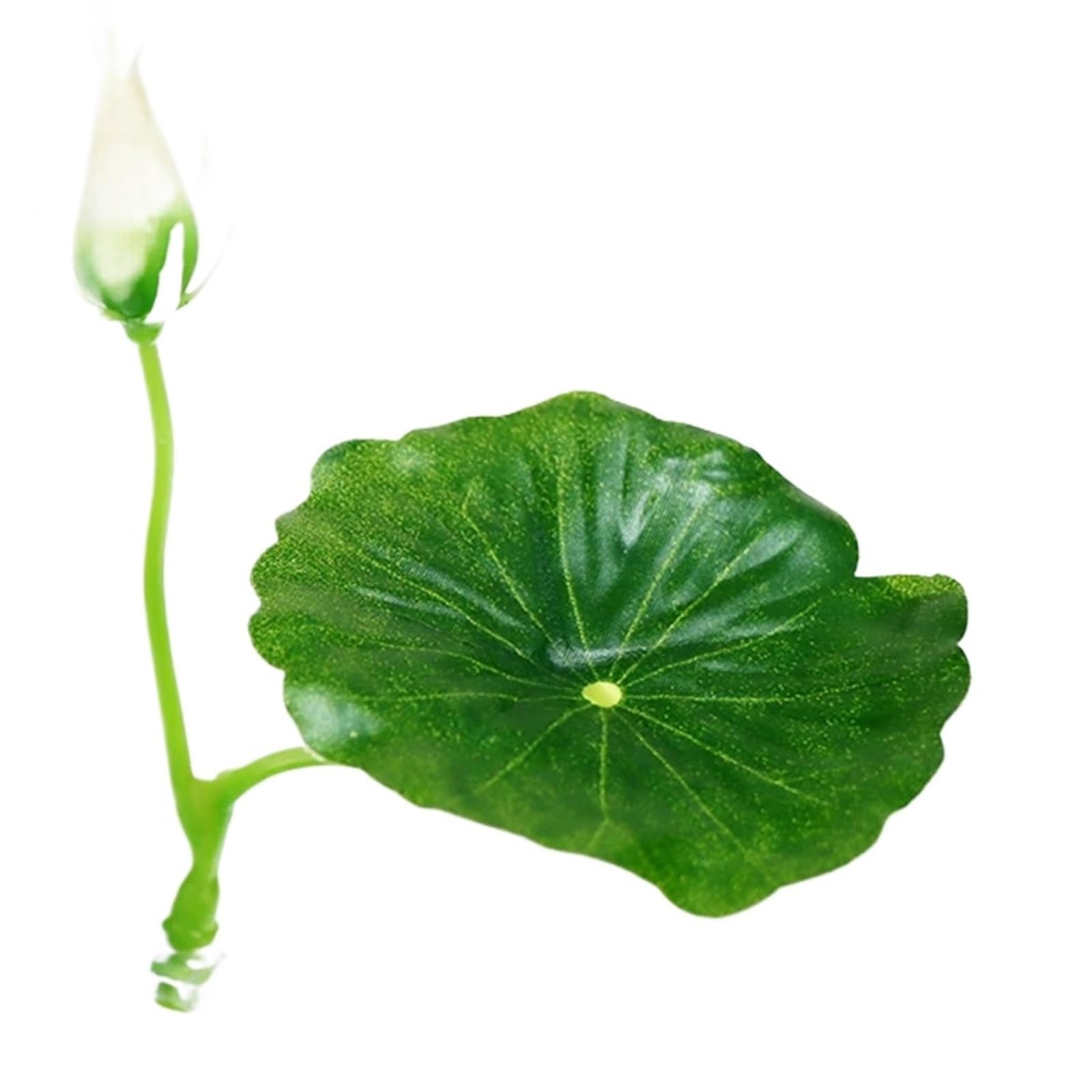 HKSDKABOP Fish Leaf Pad, 1pcs Green Leaf Hammock For Betta Fish With Suction Cup Multicolor(Color3)