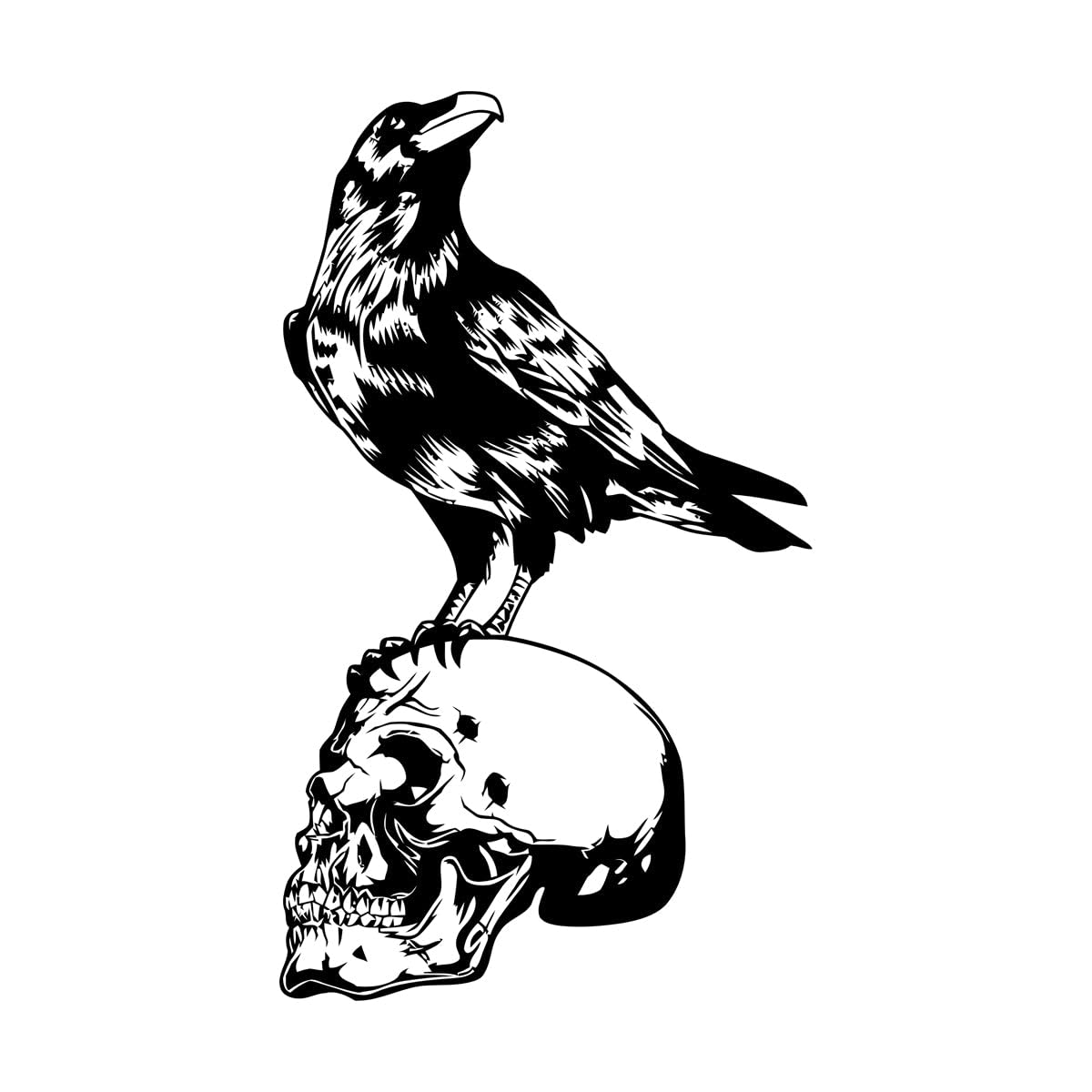 Vinyl Wall Stickers Bird Raven Skull Skeleton Gothic Style 48x80.3cm Art Mural Painting Large Black