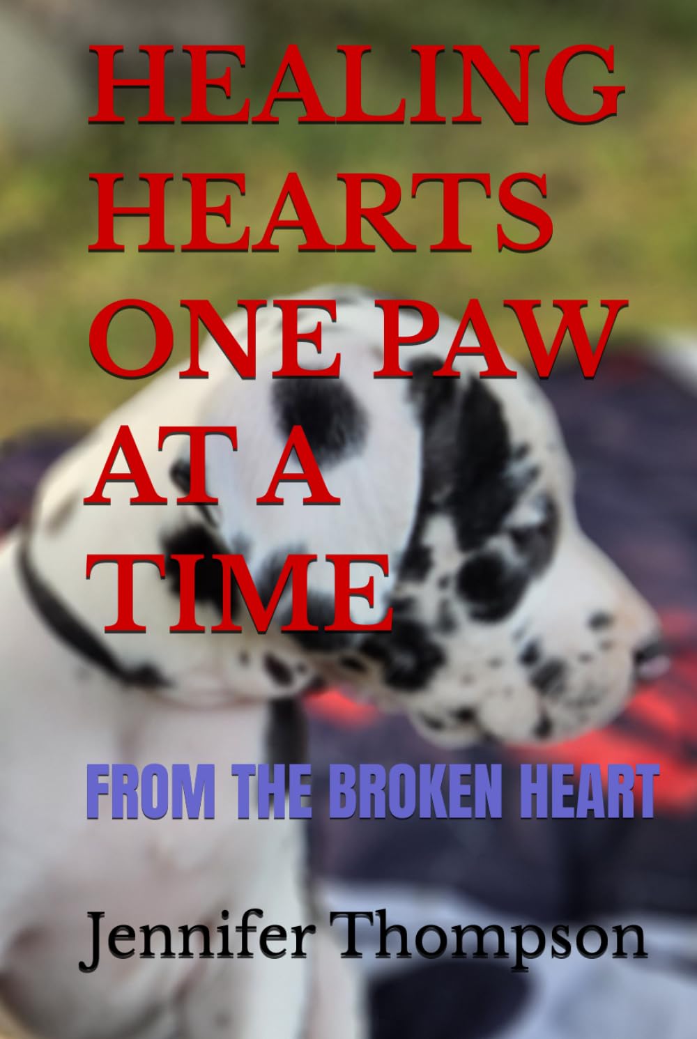 HEALING HEARTS ONE PAW AT A TIME: FROM THE BROKEN HEART