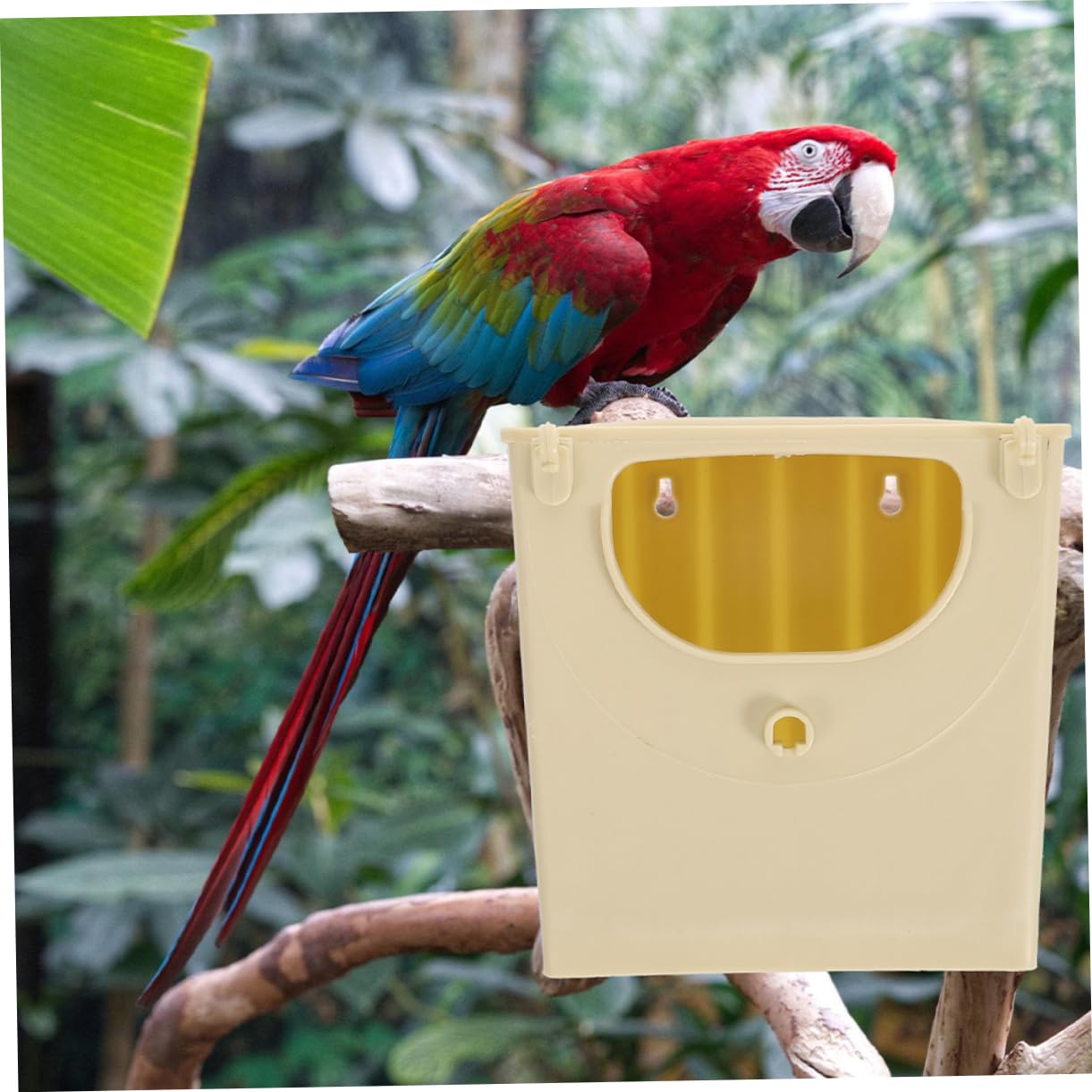 WOONEKY Nido per Uccelli in Plastica Stabile per Cocorite e Pappagalli, Casetta per Allevamento e Incubazione, Confezione da 5 Unitá per Esterni