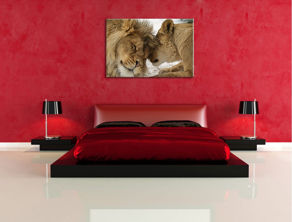 Pixxprint Kuschelnde Löwen, Größe: 120x80cm, Leinwandbild, fertig gespannt, Wandbild, Dekoration, Kunstdruck, kein Poster