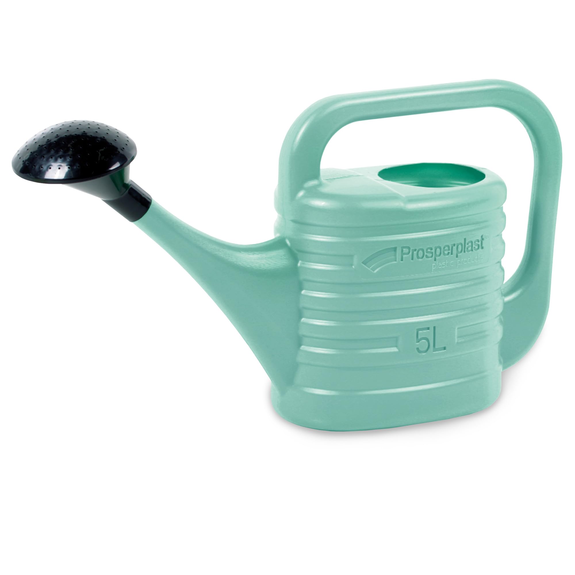 Arrosoir de jardin en plastique de 5 l, pour l'intérieur et l'extérieur, arrosage, fleurs, plantes d'intérieur, jardin, maison, appartement, outils de jardin avec pomme d'arrosoir - 5 l