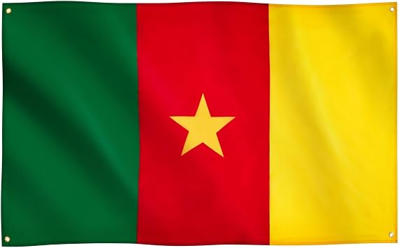 Runesol Cameroon Flag, 91x152cm, 3ft x 5ft, 4 Grommets, Eyelet In Every Corner, Tricolour, Cameroonian Flag, Premium Flags, Inside, Outside, Vivid Colours