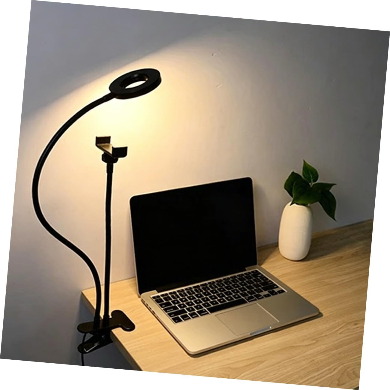 Toddmomy LED Ring Light Phone Holder with Adjustable Brightness, Black Selfie Fill Light for Live Streaming and Video Recording, Clip-on Dimmable Photography Lighting Accessory