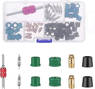 WINOMO 71Pcs A/C Air Conditioning Valve Core Accessories R12 R134a Refrigeration Valve Core Remover Installer Assortment Box Set Kit
