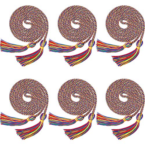 WILLBOND 6 Pieces Graduation Honor Cords Braided Polyester Yarn Honor Cord with Tassel