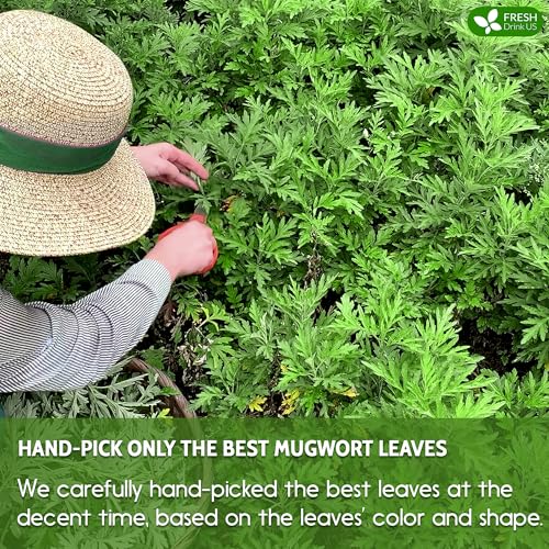 Image of FreshDrinkUS, Premium 60 Mugwort Leaf Tea Bags, 100% Natural and Pure Mugwort Leaves. No Sugar, No Caffeine, No Gluten, Vegan.