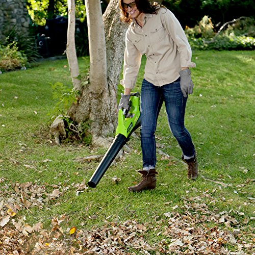Greenworks 40V Electric Leaf Blower, 430 CFM / 115 MPH, 2.0Ah Battery and Charger Included BA40L210