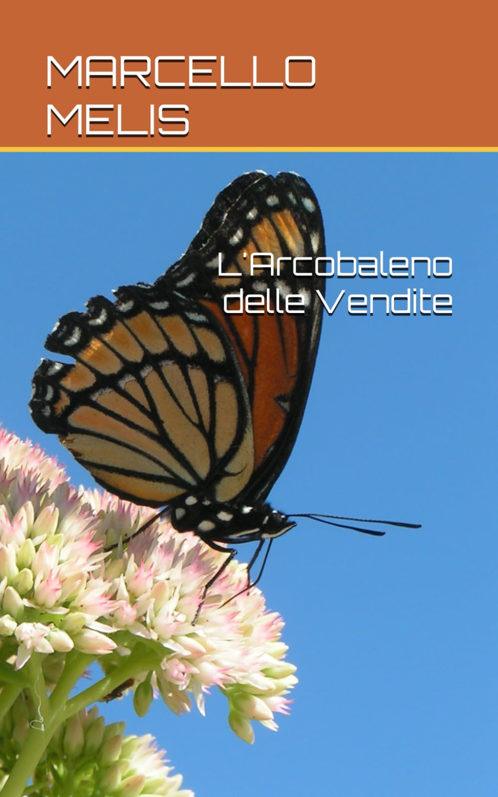 L'Arcobaleno delle Vendite