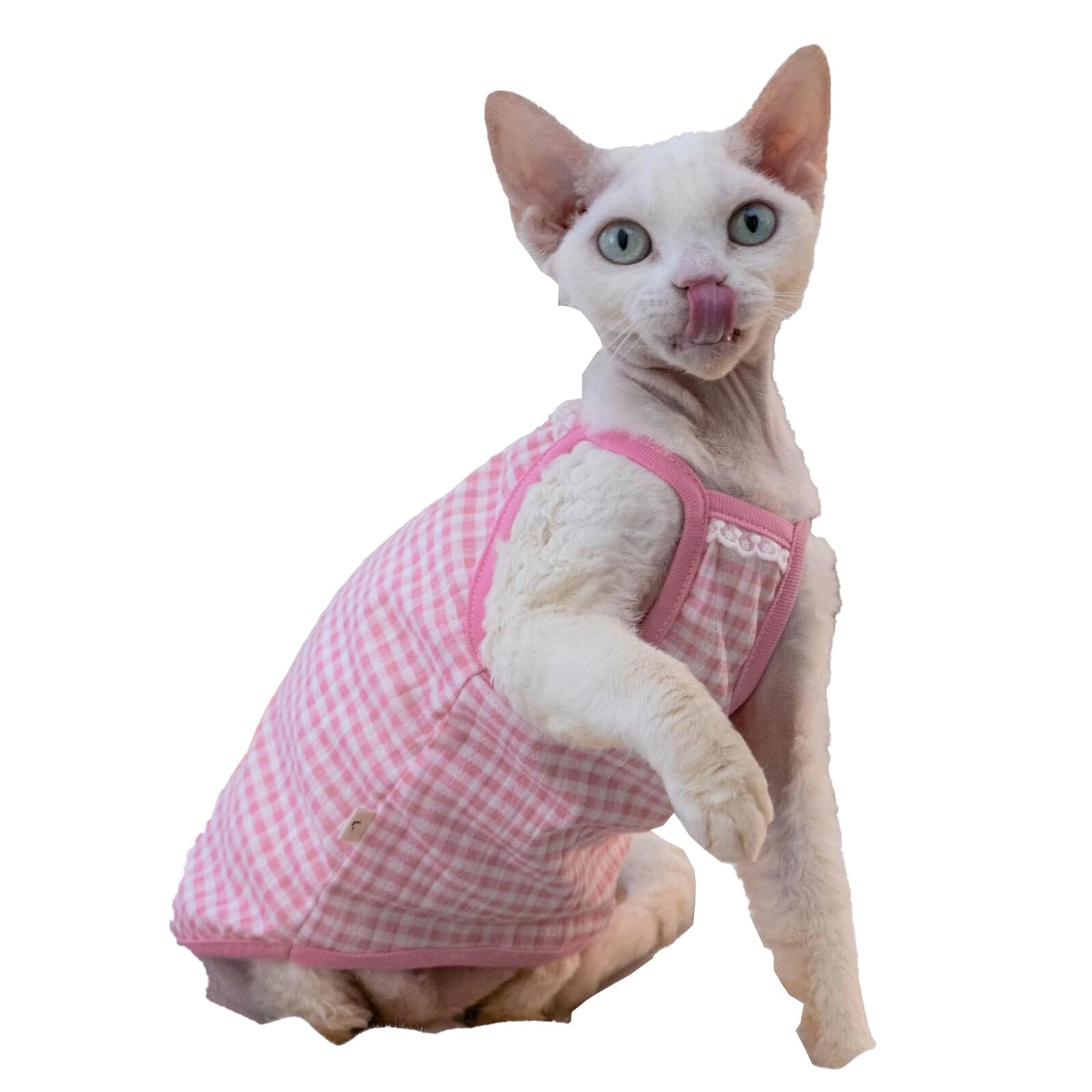 Débardeur pour chat Sphynx en coton rose vêtement été Devon Rex