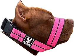 Focinheira Pet Para Cães De Porte Medio Grande Fácil De Usar Confortável Segura (P)