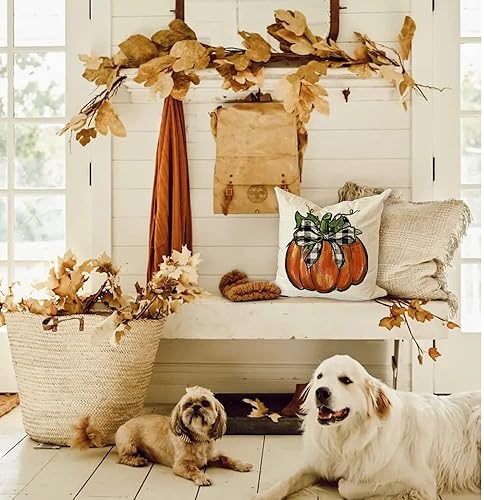 Miniatura 9 de GEEORY GL047-12 - Funda de almohada de otoño de 12 x 20 pulgadas, diseño de calabaza con lazo a cuadros de búfalo, decoración de otoño, casa de