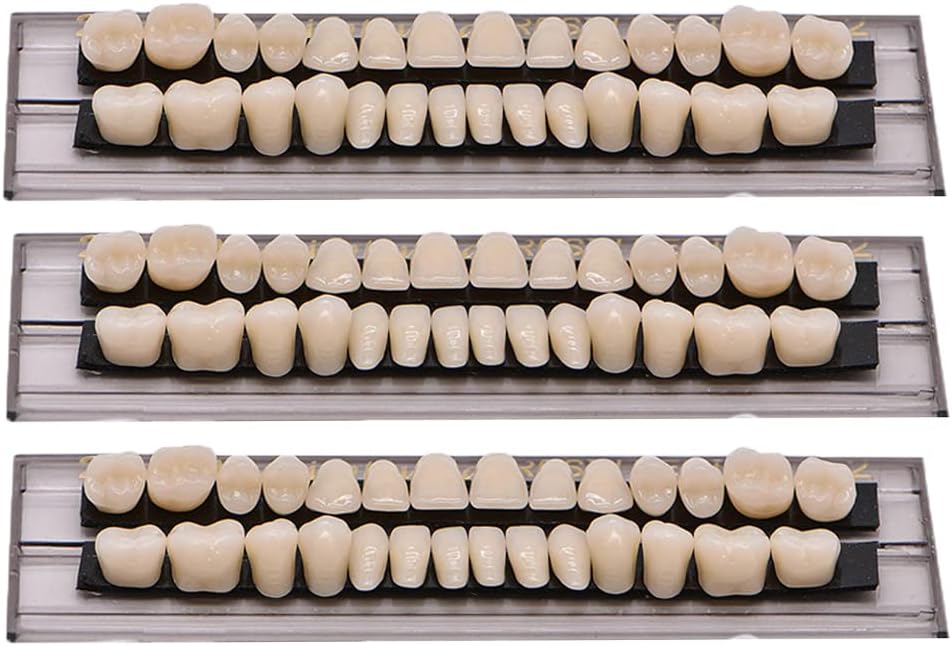 84 PCS Acrylic Resin Teeth Dental Denture Dental Synthetic Resin Teeth Denture Halloween Horror Prop 23 A2 ((28 Pcs/3 Set))