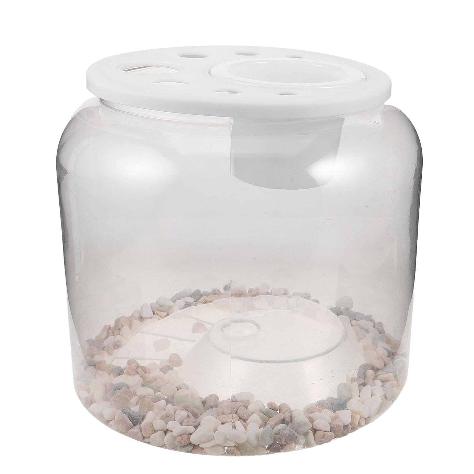 Kit D’élevage avec Plateforme pour Tortues et Terrarium Écologique
