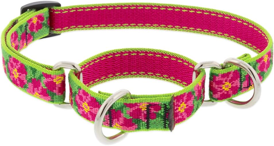 Lupine Martingale Dog Collar 3/4" wide Petunias Adjusts