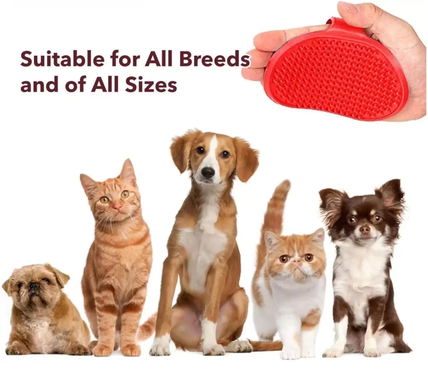 BULLYPET Canitone Tablets for Dogs 30 Tab (Pack of 10) with Glove 2