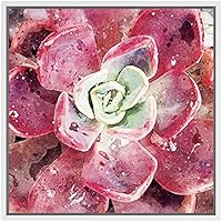 SIGNWIN Framed Canvas Wall Art Bright Red Mardi Gras Succulent Botanical Plants Watercolor Modern Art Chic Closeup Relax/Calm for Living Room, Bedroom, Office - 16x16 inches