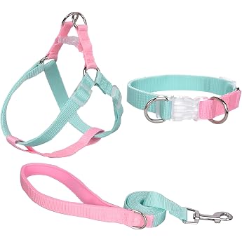 AIITLE Upgraded No-Pull Dog Halter Harness Collar Leash Set - Step-in Dog Halter Harness - Easy Walking Control - Walking for Large Dogs Green-Pink L