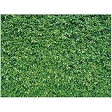 Mixweer 8 x 10 ft Green Leaves Wall Backdrops Photography 3D Greenery Grass Nature Polyester Fabric Background for Birthday Wedding Dinosaur Jungle Shower Party Decorations Photo Prop