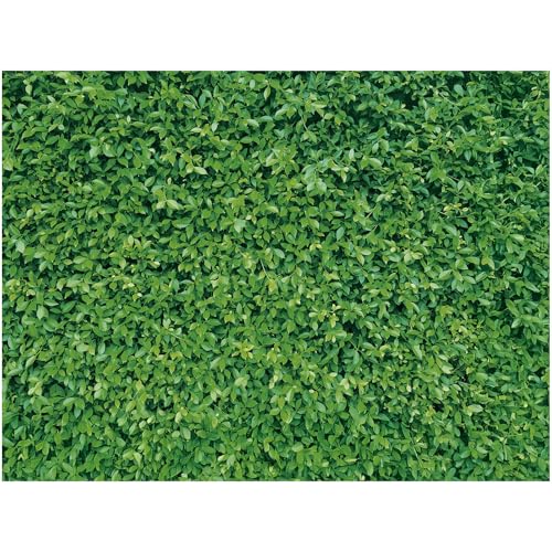 Mixweer 8 x 10 ft Green Leaves Wall Backdrops Photography