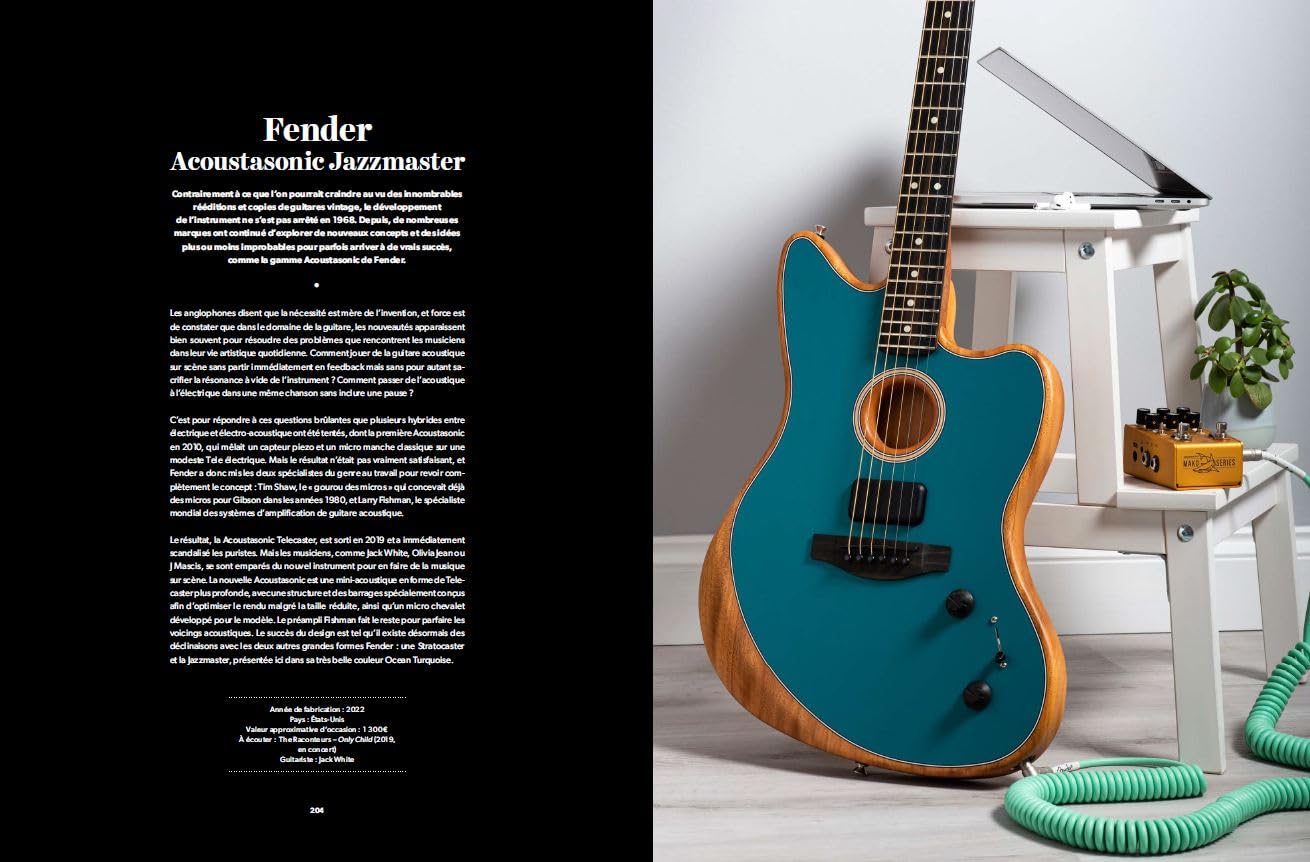 Guitares d'exception: 100 modèles mythiques et leur histoire