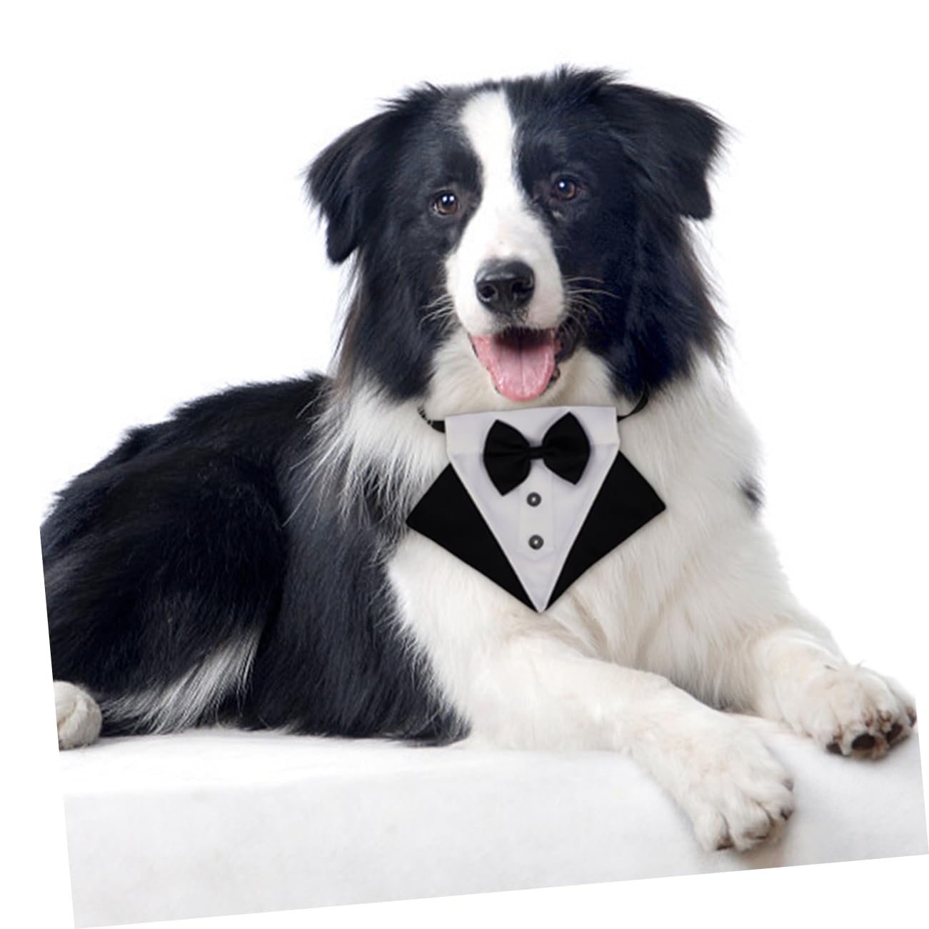 PRETYZOOM 3 Sets Hund Bib Pet Schal Dreieckige Pet Bandana Stilvolle Hund Kragen Zubehör Für Outdoor