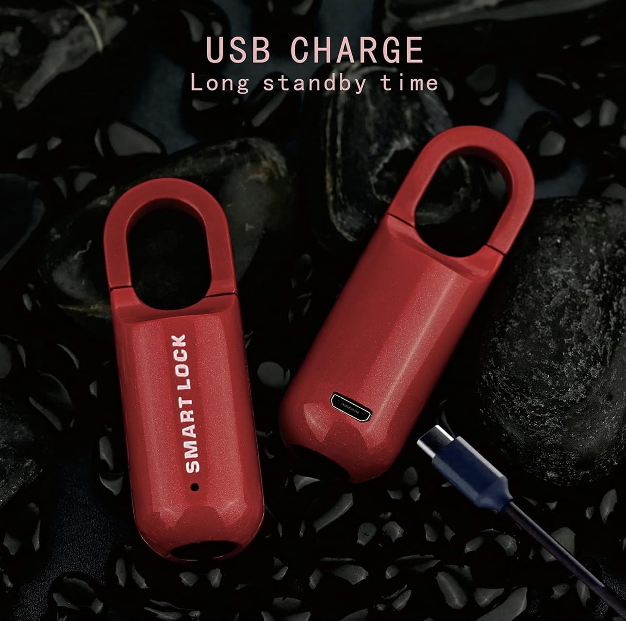 cadena à empreinte digitale, verrou biométrique étanche et rechargeable USB, mémorise 10 empreintes,pour casier d'école, valise, bagage, salle de sport, armoire professionnelle, porte en fer (ROUGE)