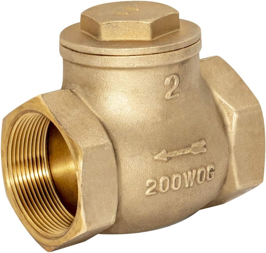 EZ-FLO 20431LF Brass Swing Check Valve
