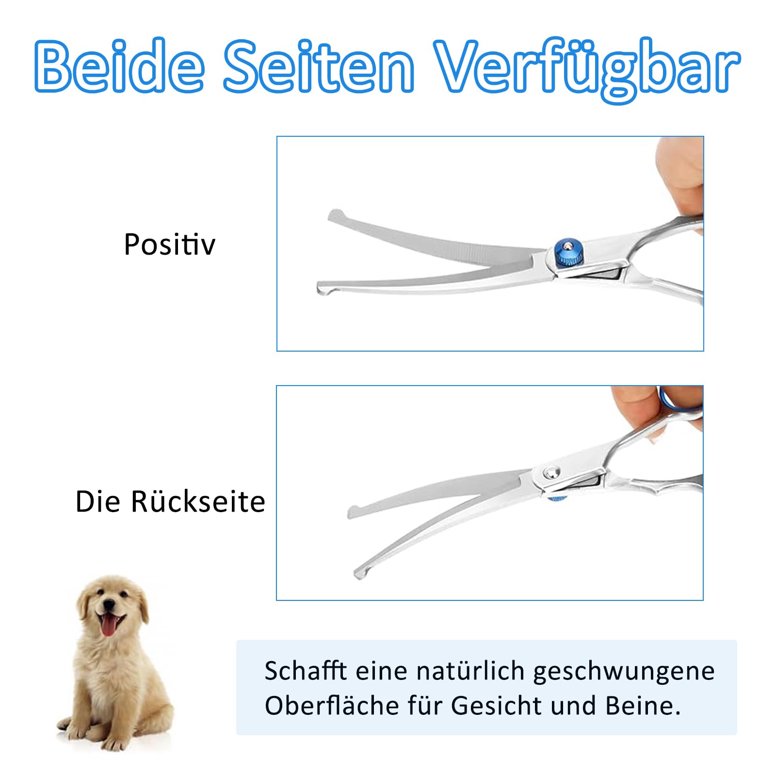 Ciseaux de toilettage pour chiens et chats en acier inoxydable, bleu, moderne
