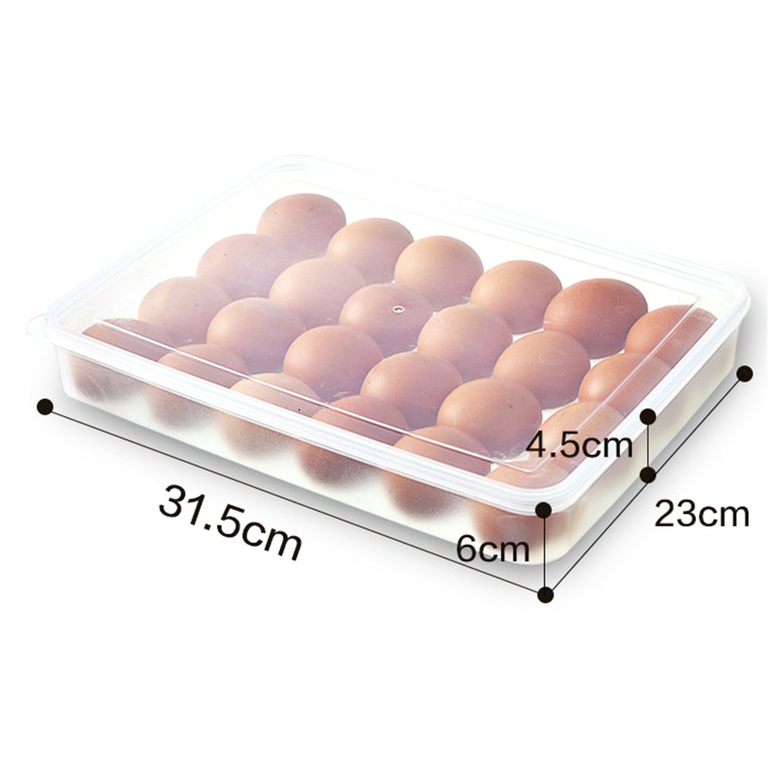 Param 24 Grids Egg Tray Transparent Fiber Freezer Storage Box Eggs Preservation Box (ABS Plastic) 2