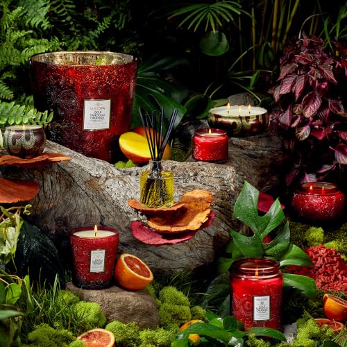 Image of Voluspa Goji Tarocco Orange Large Scented Candle Jar 18 Oz, 100 Hr Burn | Coconut Wax Blend in Decorative Glass, Clean Even Burn, USA Handcrafted Gift for Hosts, Fragrance Lovers & Relaxed Rooms