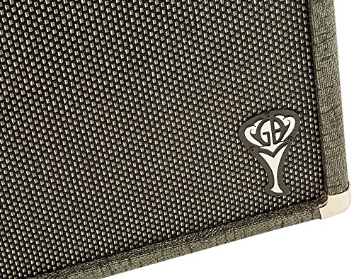 Fender GB Twin Reverb Guitar Amplifier