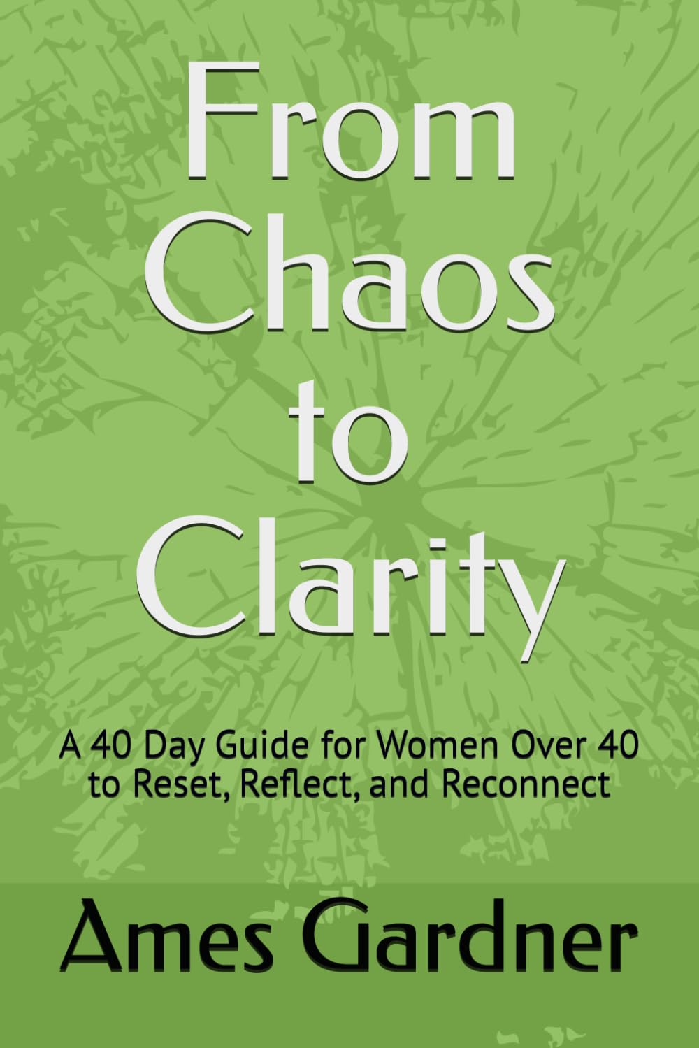 From Chaos to Clarity: A 40 Day Guide for Women Over 40 to Reset, Reflect, and Reconnect