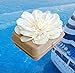 Biodegradable Water Burial Urn Kit - Cruise Approved | Ocean Ashes Scattering Ceremony with Certificate | Eco-Friendly Memorial Urn. (Small)
