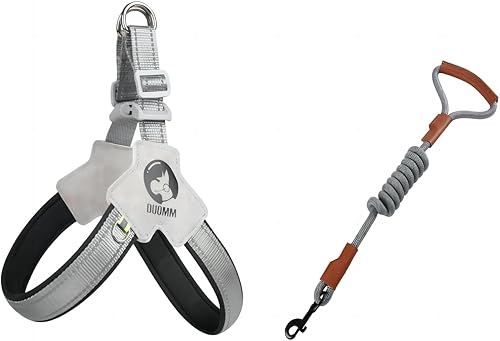 Arnés para perro sin tirones, juego de arnés para perro con correa ajustable, reflectante, de fácil control, para perro pequeño y mediano con correa