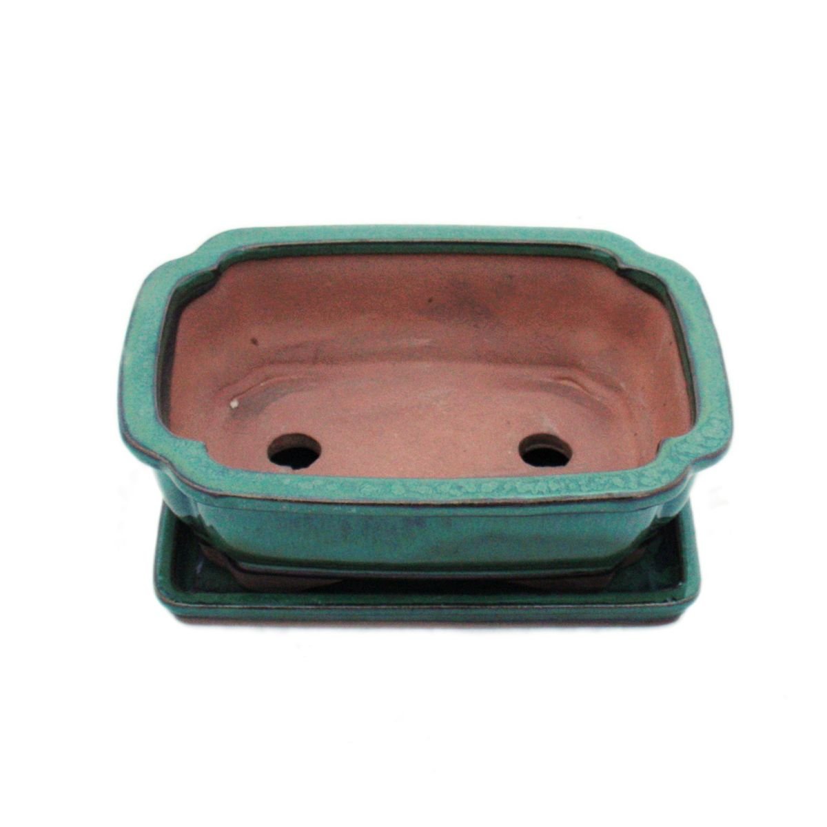 Bonsaï Bol avec sous assiette Taille 3 – Vert – Carrée – Modèle G12 – L 18 cm – B 14 cm – H 5,5 cm