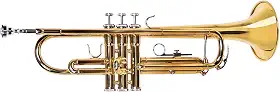 Trompete Bb Dourado Dominante