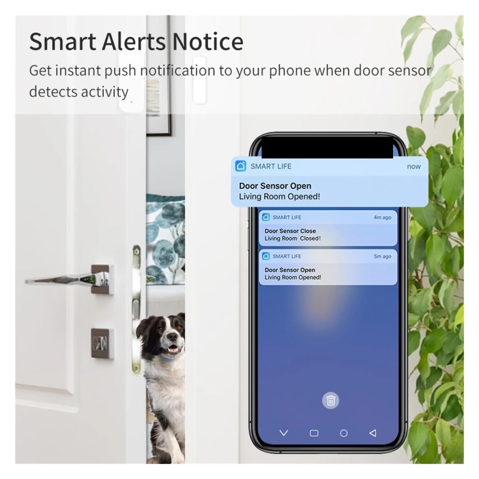 Alarmas De Puerta, Sensor magnético de ventana Doo Tuya Zigbee/WiFi, Detector de alarma abierta y cerrada, aplicación Smart Life que funciona con Alexa y Google Home Para La Seguridad Del Hogar ( Colo