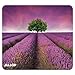 Allsop Naturesmart Mouse Pad, Lavender Field (31422)