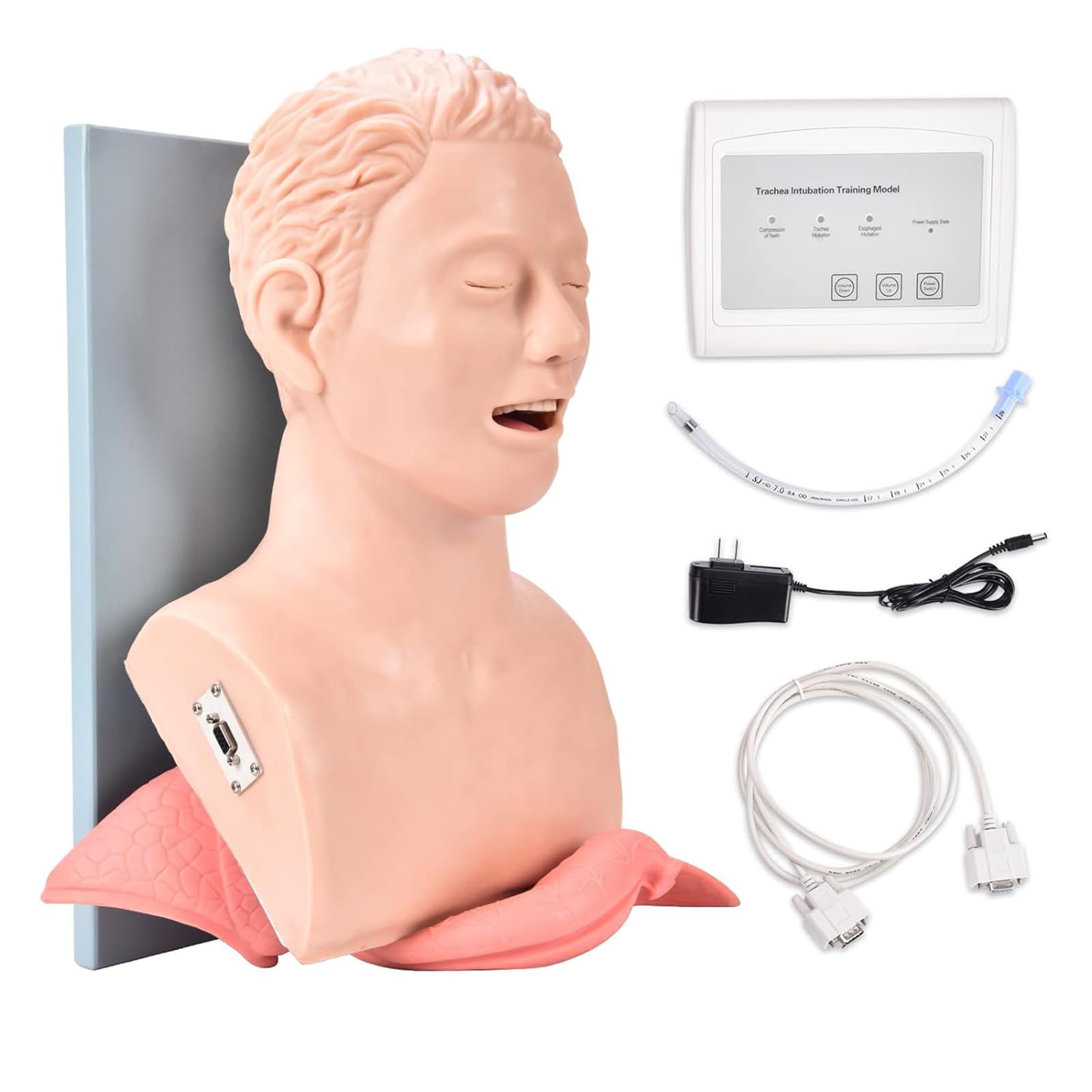 ZEQFEMKL Intubation Airway Management Trainer Adult Intubation Manikin Teaching Model Airway Management Trainer Tracheal Intubation Training Simulator Model
