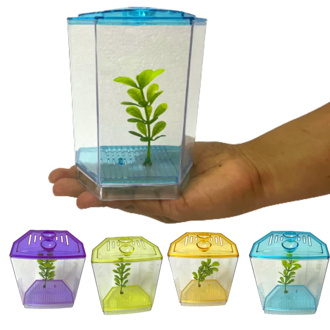 KSH Store- Single beta House Fish Tank Aquarium Isolation Box for Fighter Fish, Guppy Size(14 cm x 7 cm x 11 cm) (Betta House Single) Colour May Vary 3