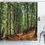 Ambesonne Woodland Shower Curtain, Forest Scene Trees and Pathway Foliage Trunk Greenery Outdoor Picture, Cloth Fabric Bathroom Decor Set with Hooks, 69' W x 70' L, Khaki Green Brown