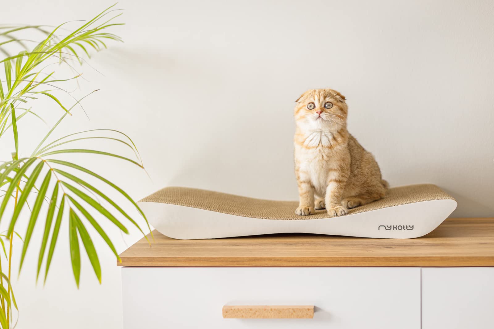 myKotty: Planche de grattement Réversible et Lit de Chat pour Dormir et S'amuser TOBI