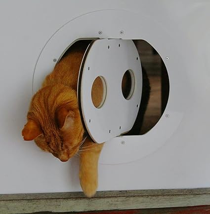 The Petflap Pet Door Draft-Proof High Energy Efficiency Auto-Close Durable with Lock for Cats, Small Dogs (White, Standard)