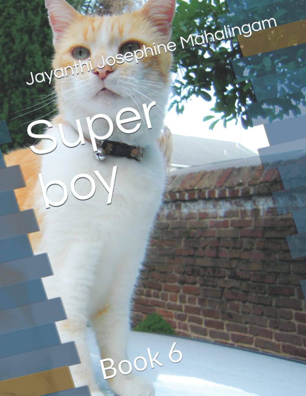Super boy: Book 6